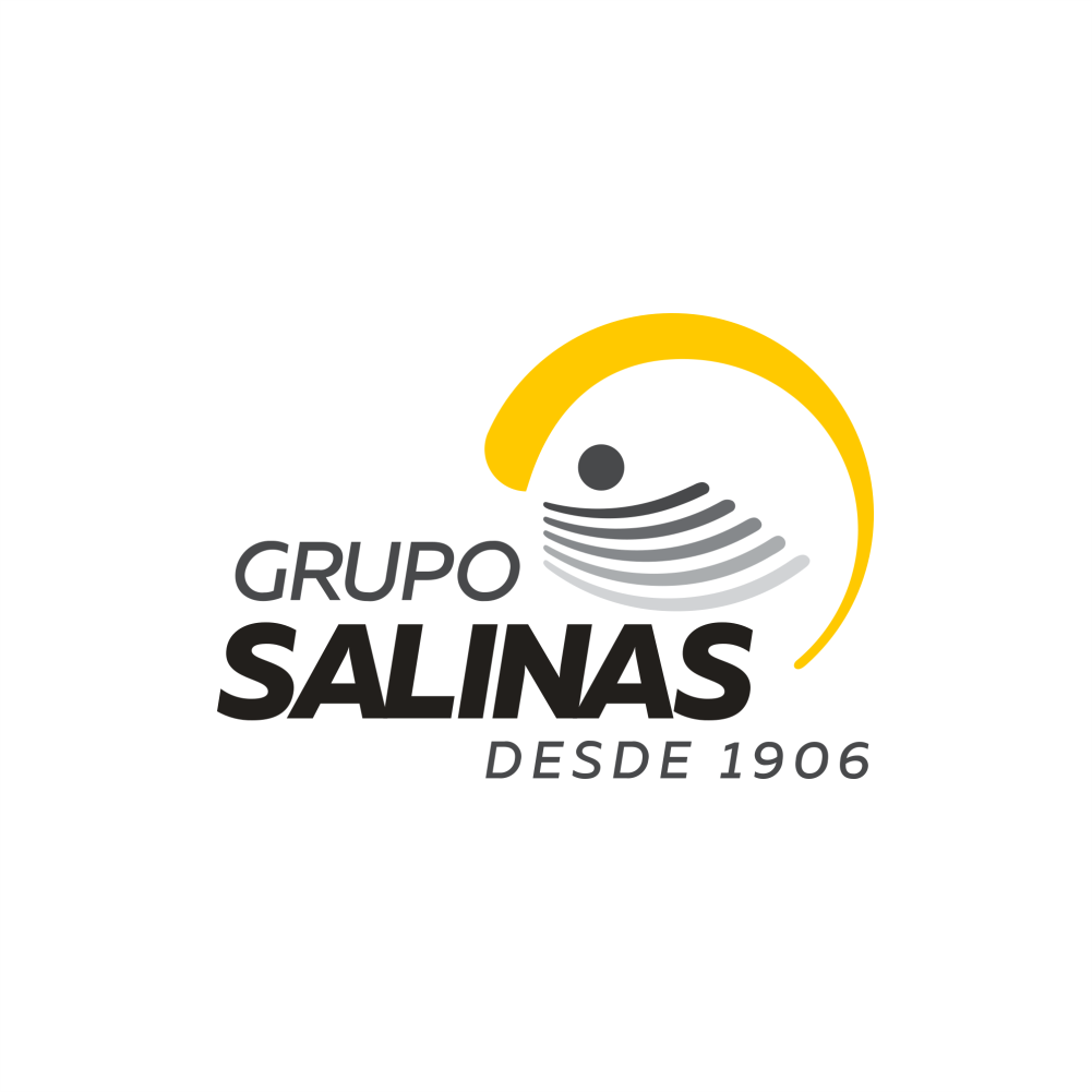 Grupo Salinas Grupo Salinas